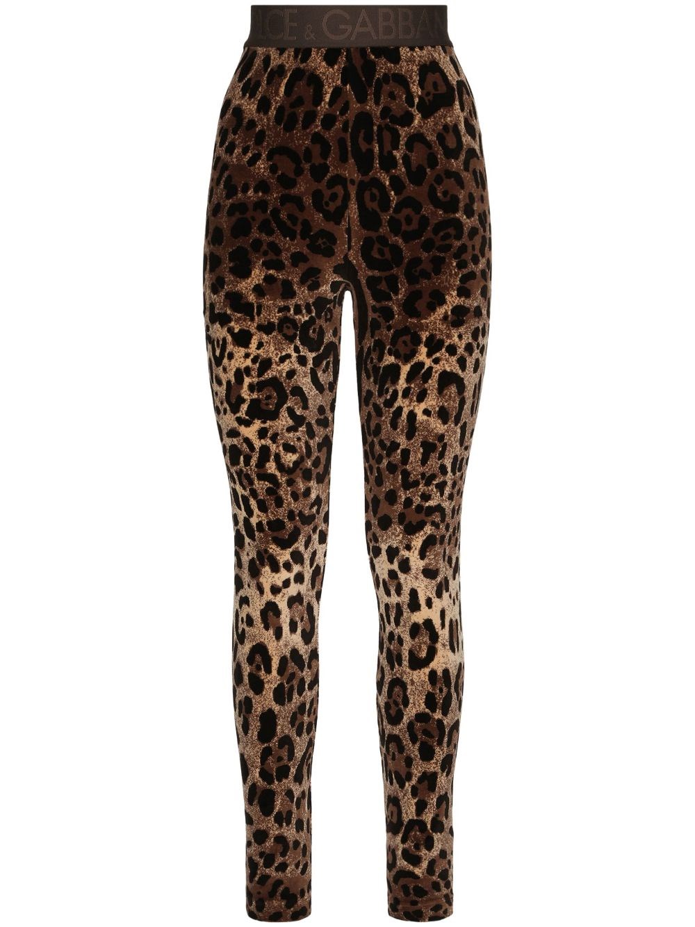 Dolce & Gabbana High Waist Leopard Print Cotton Blend Leggings In Brown