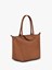 Longchamp `Le Pliage Xtra` Medium Tote Bag