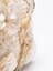 Jamin Puech `Sequin Garden` Bag