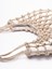 Rosantica `Nodi` Handbag