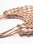 Rosantica `Nodi` Handbag