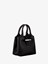 Longchamp `Le Roseau` Extra Small Handbag