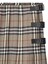 Burberry Skirt