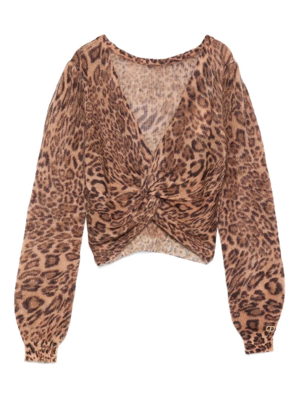 Twinset Cardigan In Brown