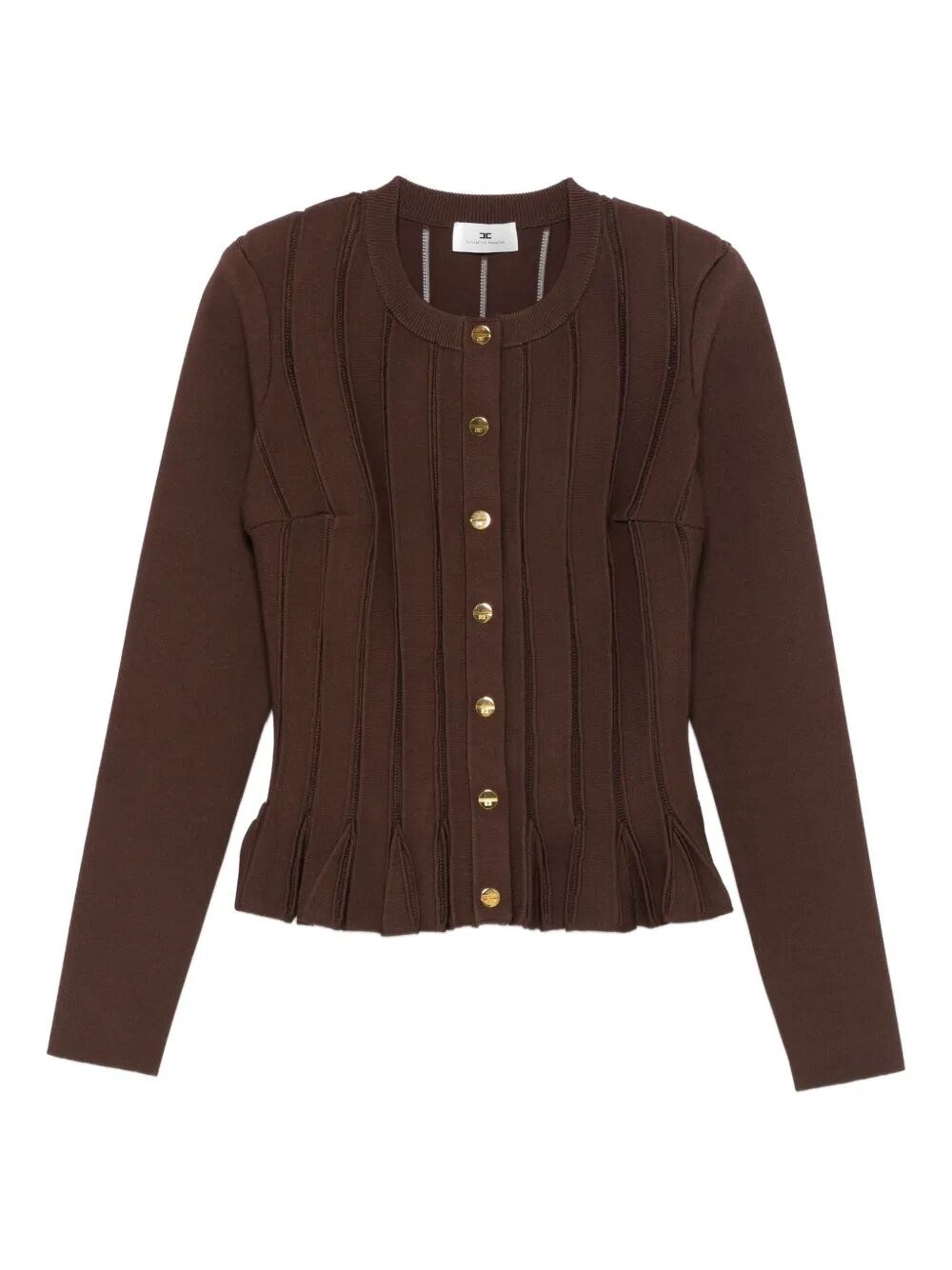 Elisabetta Franchi Tricot Sweater In Brown