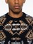 Altea Long Sleeve Crew-Neck Jacquard Sweater