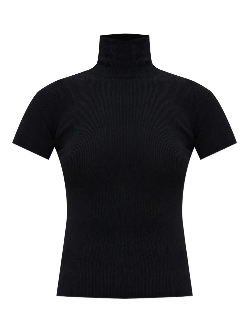 Max Mara Ribbed Turtleneck Top In Black