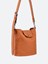 Longchamp `Le Pliage Xtra` Medium Shoulder bag