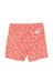 Drumohr Swim Shorts