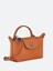 Longchamp `Le Pliage Xtra` Extra Small Pouch