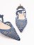 Fendi `Colibri Lite` Slingback