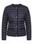 Moncler `Circaete` Jacket