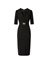 Pinko Arnebia Dress