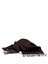 Max Mara WSDalia Scarf