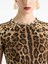 Dolce & Gabbana Leopard-print Dress