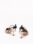 Fendi `Colibri Lite` Slingback