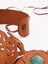Valentino Garavani Rose Leather Belt