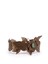 Valentino Garavani Rose Leather Belt